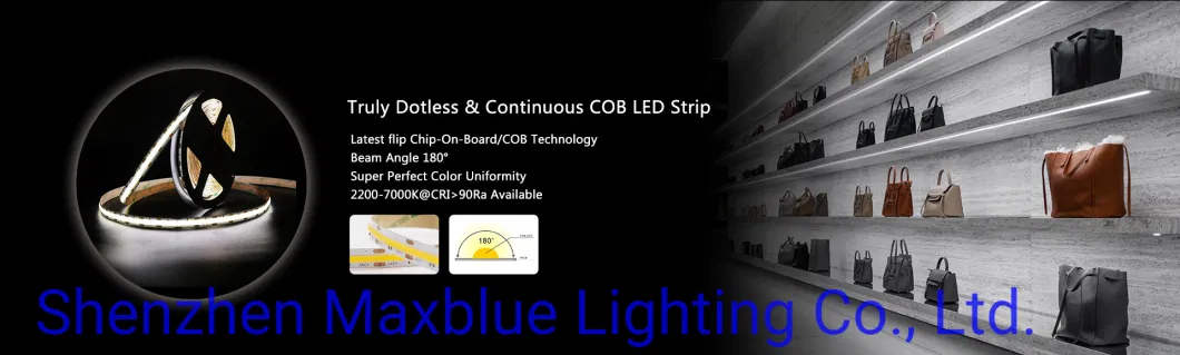 DC24V 840chips RGB Color Changing COB LED Light Strip